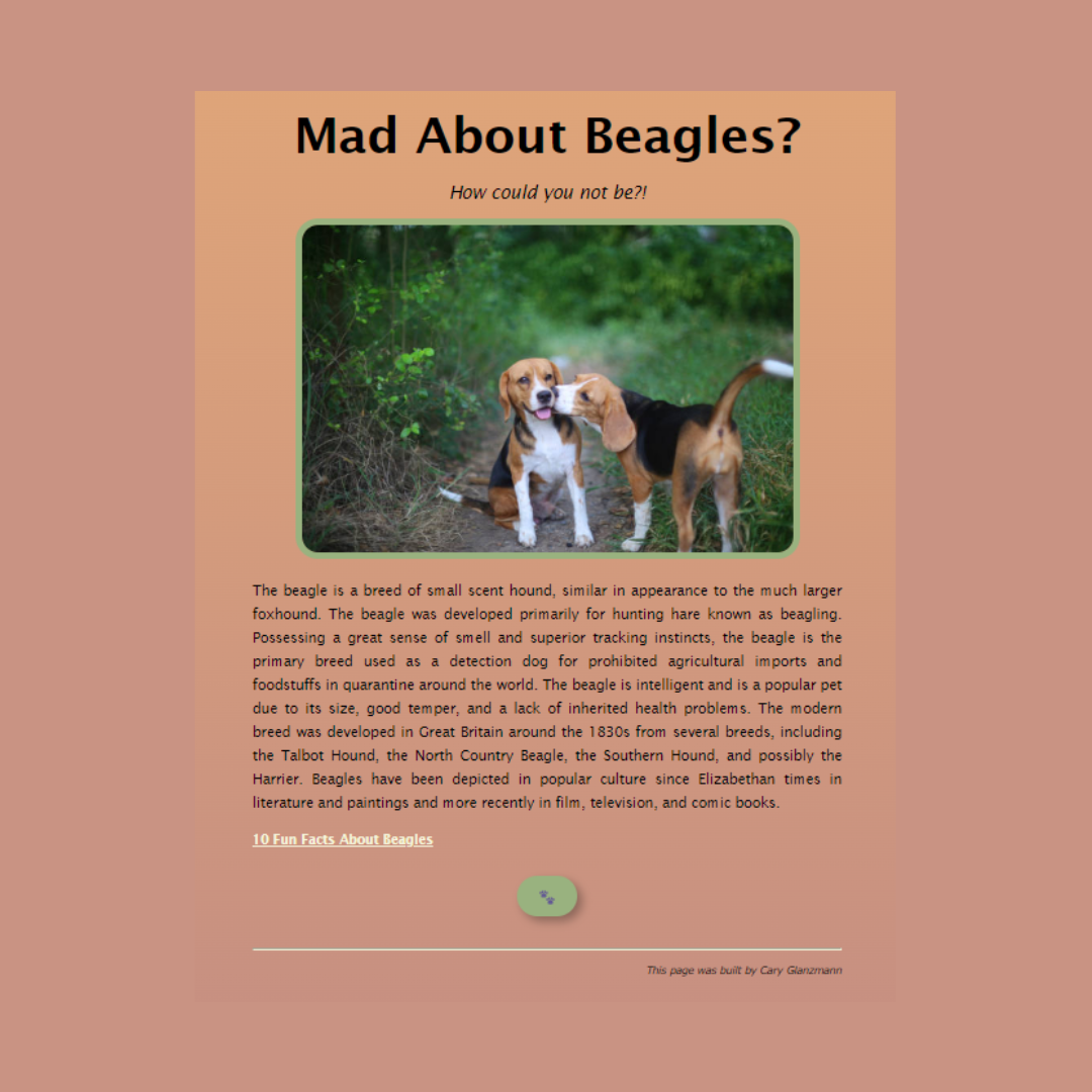 beagle project
